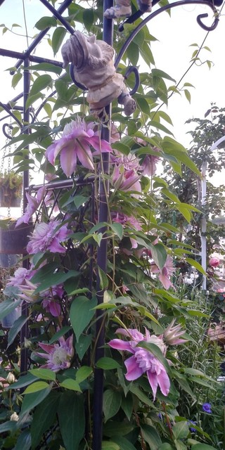 IMG00010_HDR.jpg