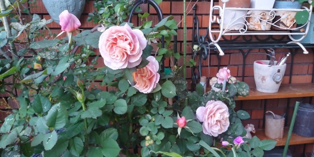 IMG00014_HDR.jpg
