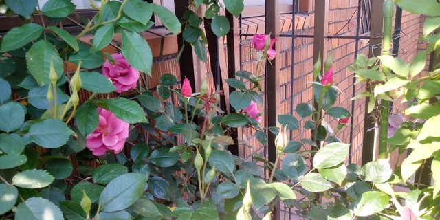 IMG00022_HDR.jpg